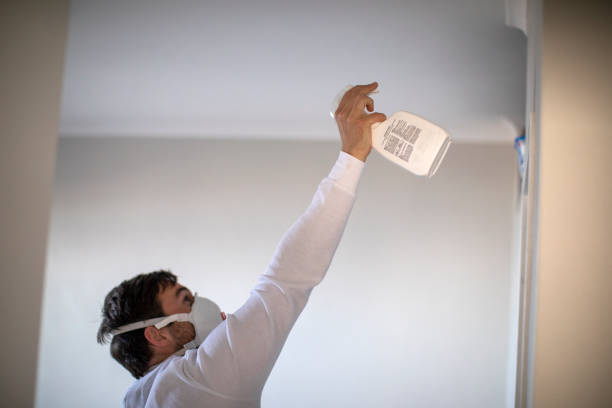 Best Mold Damage Repair  in Lakeland Village, CA